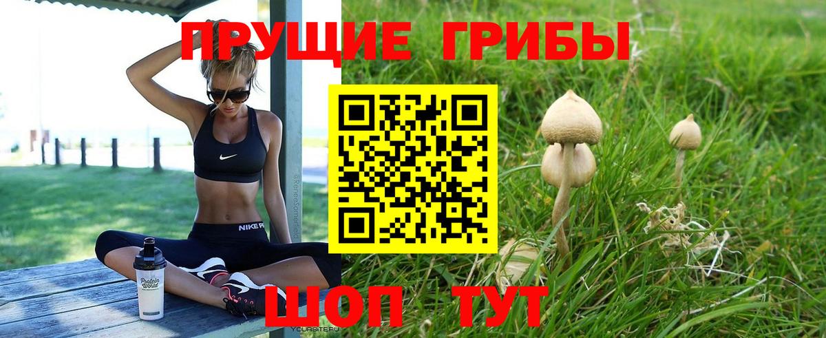 Нижний Тагил  Галлюциногенные грибы Cubensis  Вход с VPN 
